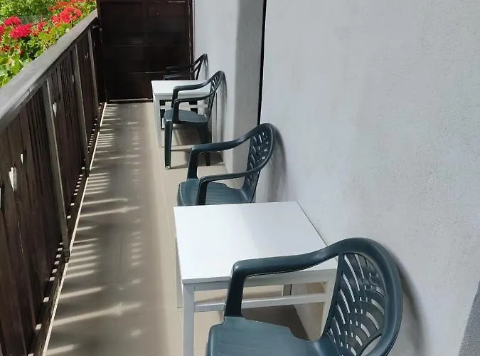 Sobe Grajska 民宿 *