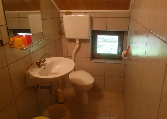 Sobe Grajska 民宿 *