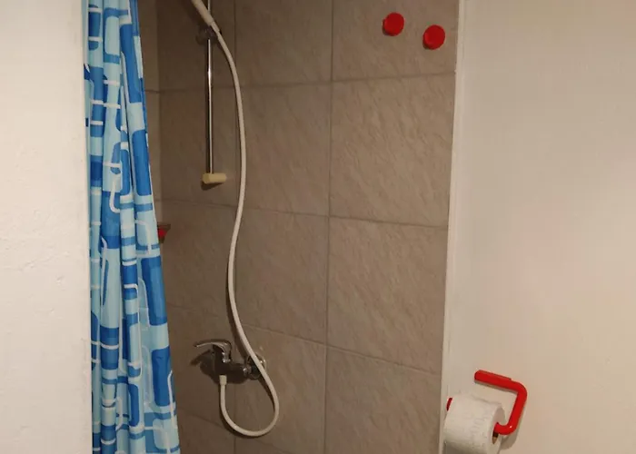 民宿 Sobe Grajska 布莱德